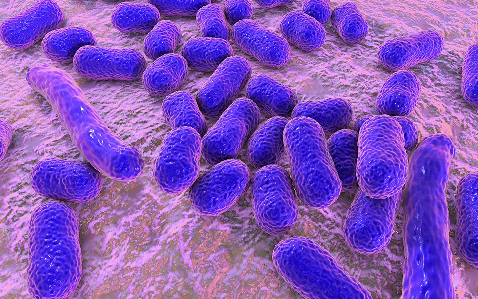 abaucin-ένα-ισχυρό-αντιβιοτικό-τεχνητής-νοη-562440496