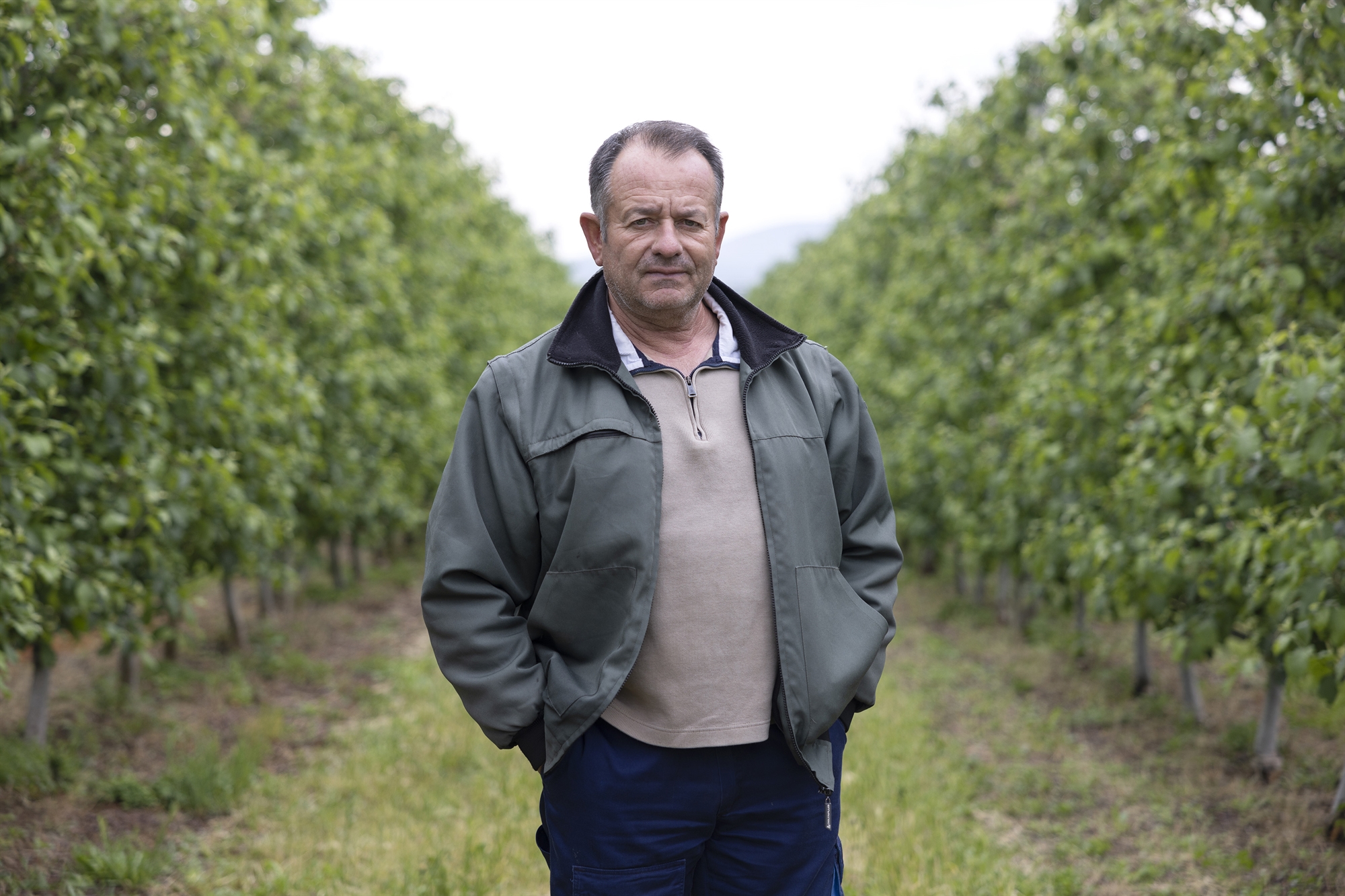 bουβές-οι-εκλογές-στον-κάμπο-562417972