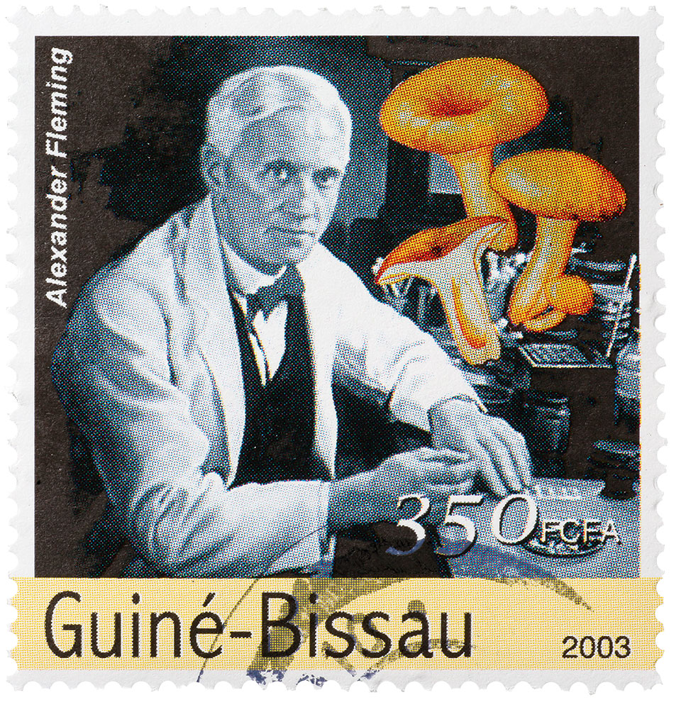 Αλεξάντερ Φλέμινγκ: Ο επιστήμονας που ανακάλυψε την πενικιλίνη-12