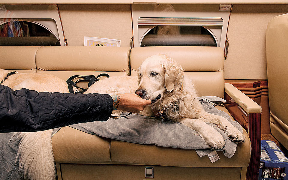 ανοίγει-φτερά-αεροπορική-εταιρεία-με-562406590