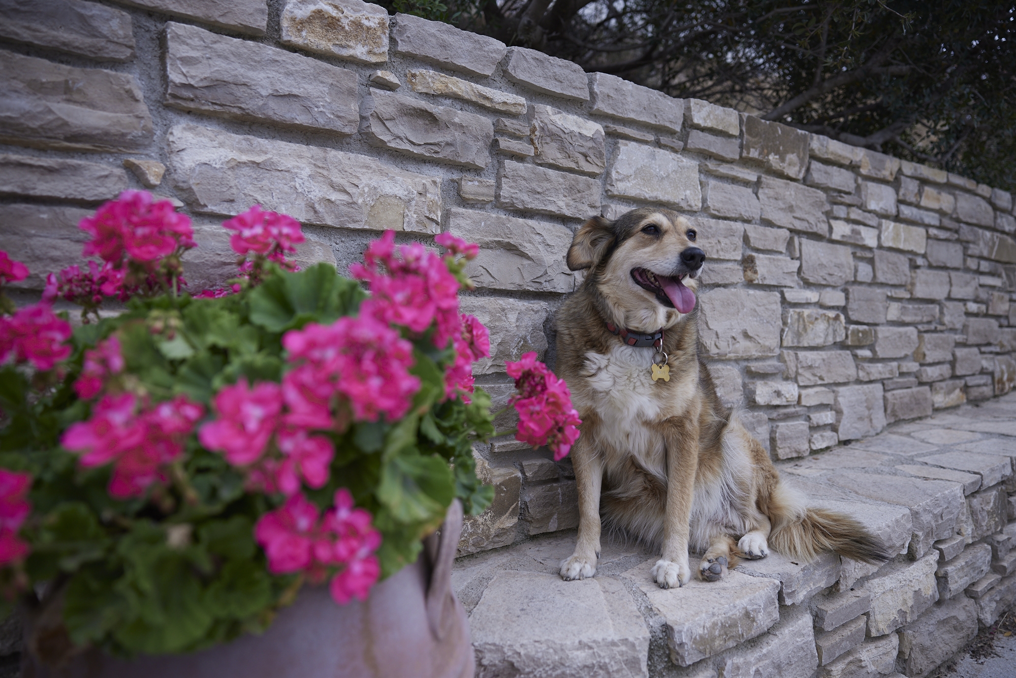 εκλογικά-υπάρχει-καλό-και-κακό-40-σ-562448371