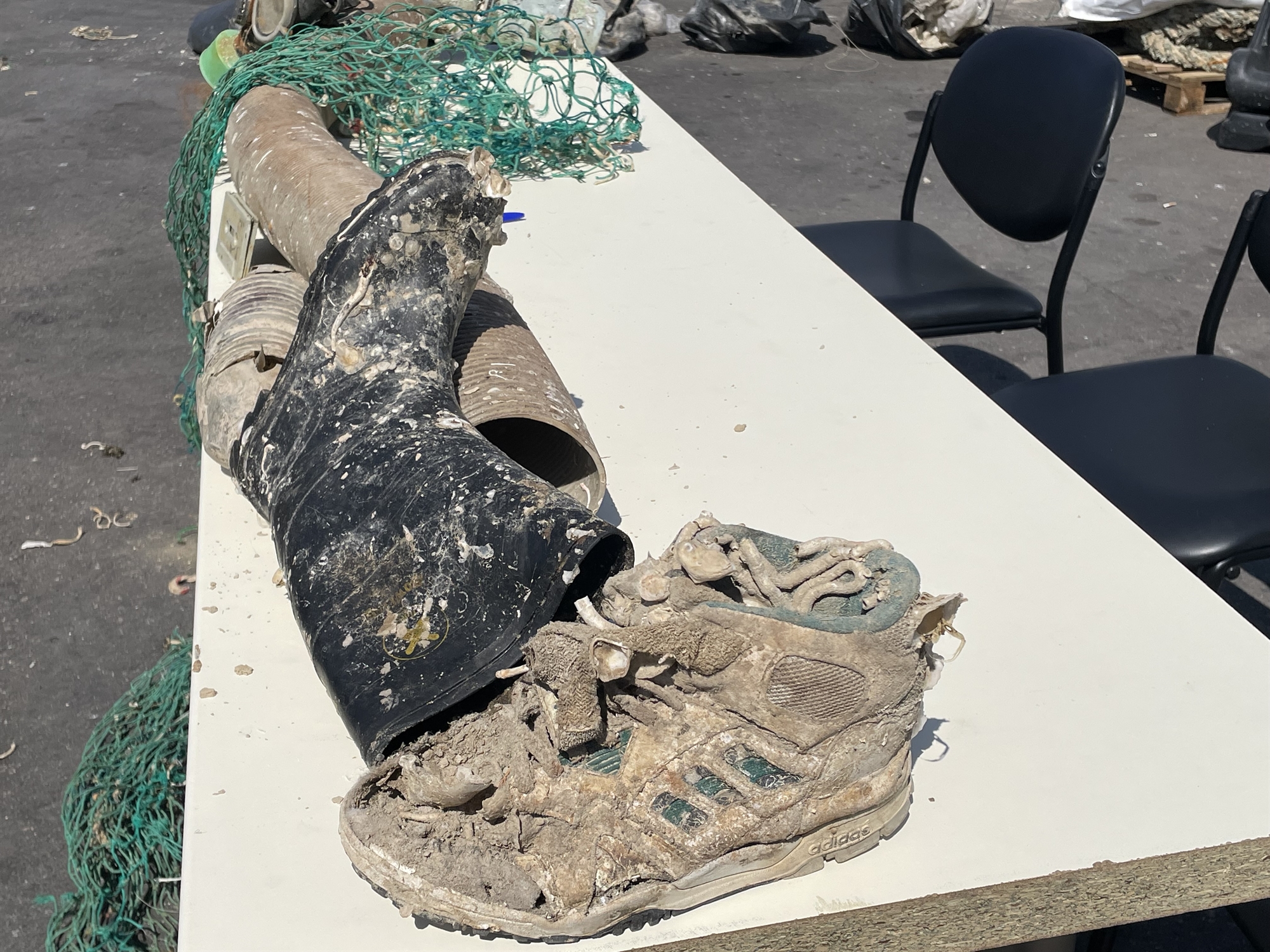 Οι κυνηγοί των πλαστικών-1