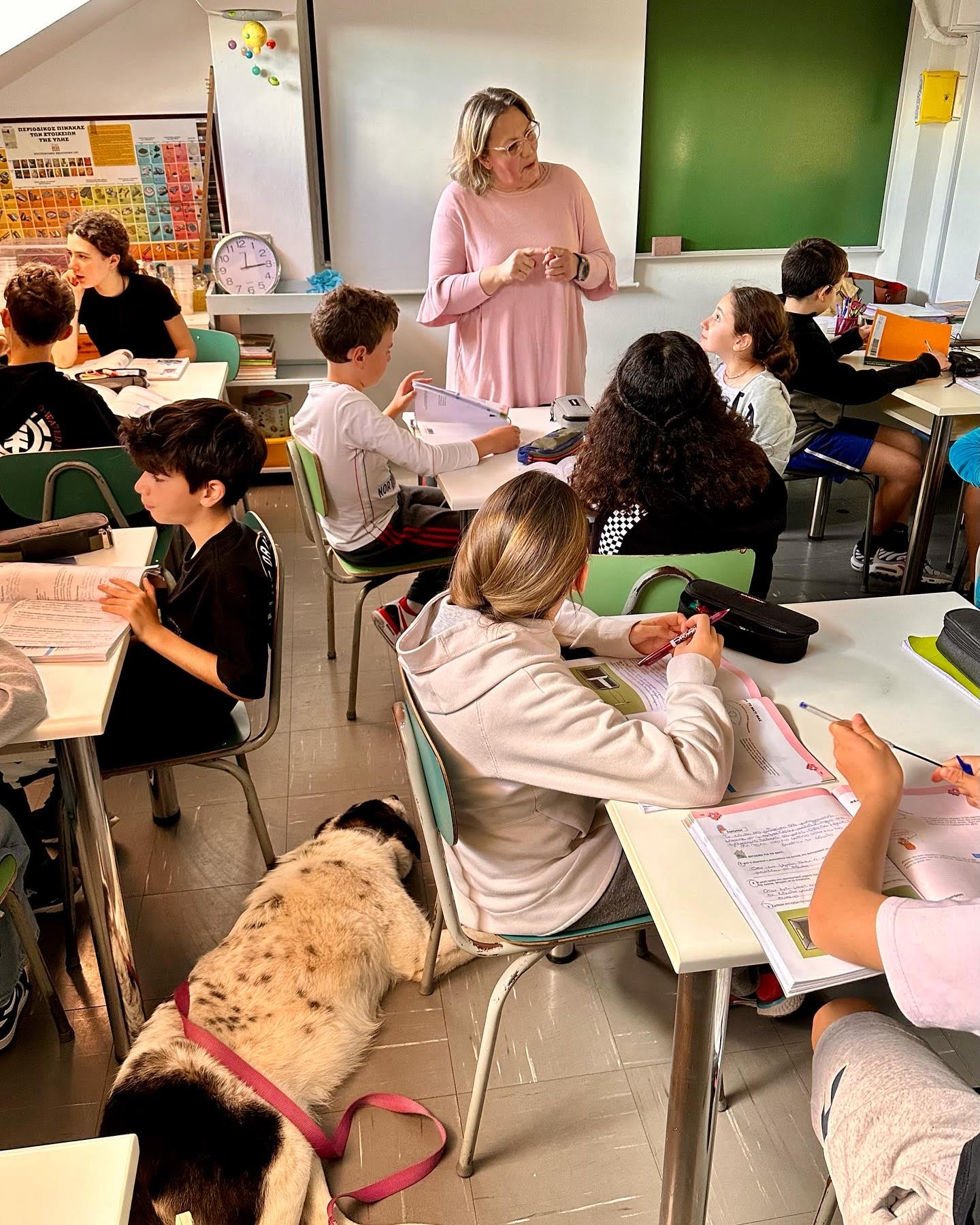 Ποια Καλυψώ, ποιος Πίνατ; Η καινούργια σταρ των τετράποδων λέγεται Μαρίτσα-3