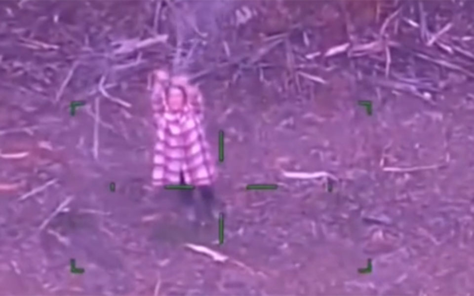 οι-επιστήμονες-εμβολιάζουν-τα-κοάλα-γ-562408792