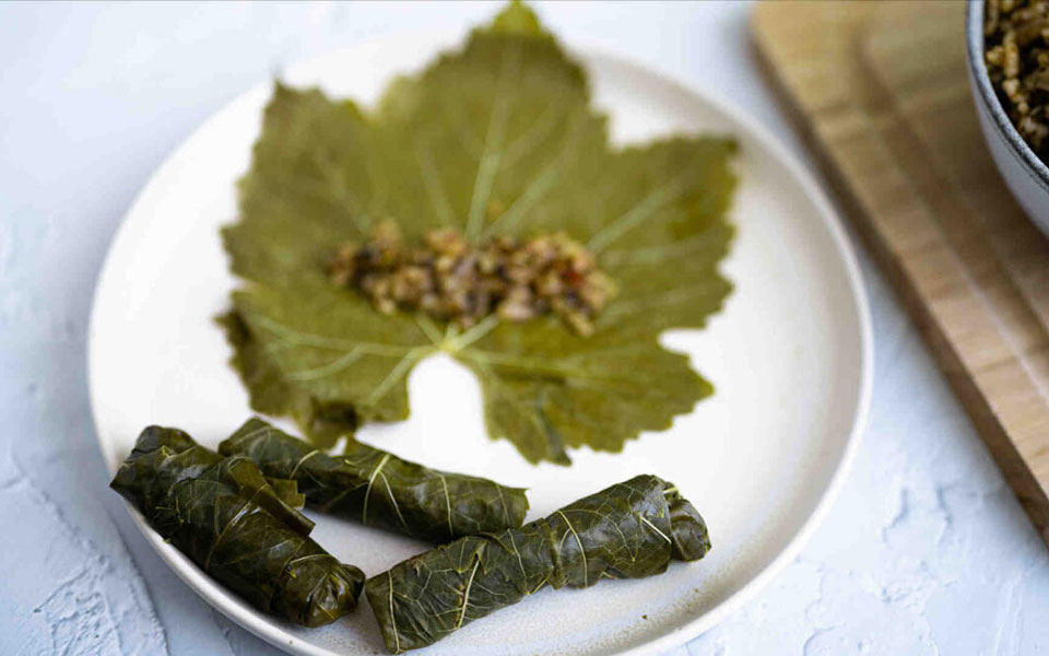 αμπελόφυλλα-μαθαίνουμε-ότι-χρειάζετ-562426381