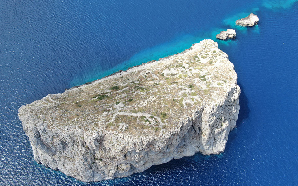 τα-κατσίκια-ερημοποιούν-τις-νησίδες-τ-562438435