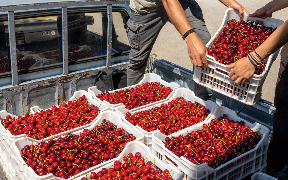 ζεστός-χειμώνας-και-βροχές-της-άνοιξη-562449031