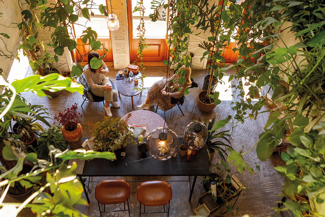 6 concept stores φυτών και λουλουδιών που μυρίζουν άνοιξη-3