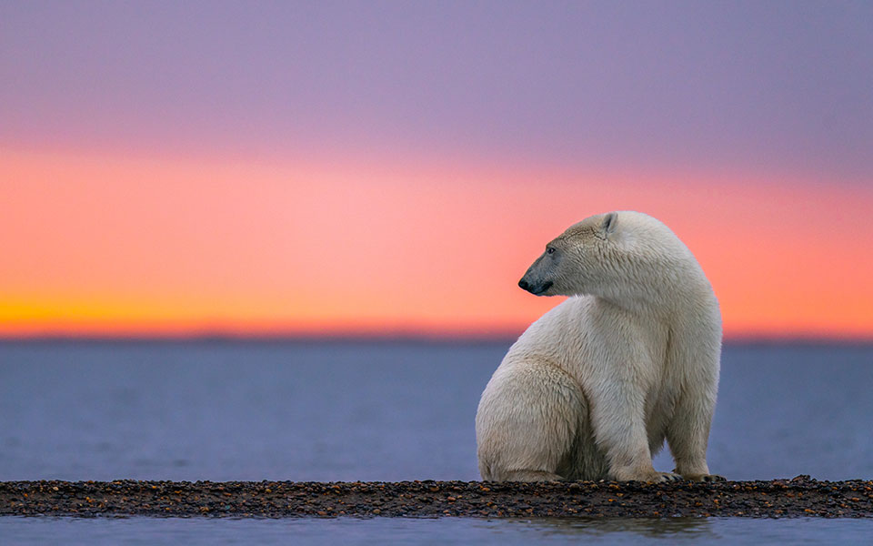 νέα-μελέτη-ρίχνει-φως-στην-εξέλιξη-της-562427227