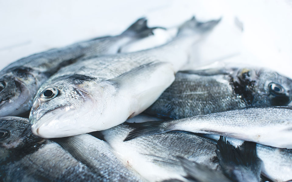 κάρπαθος-αντιδράσεις-για-βίντεο-με-ζω-562446109