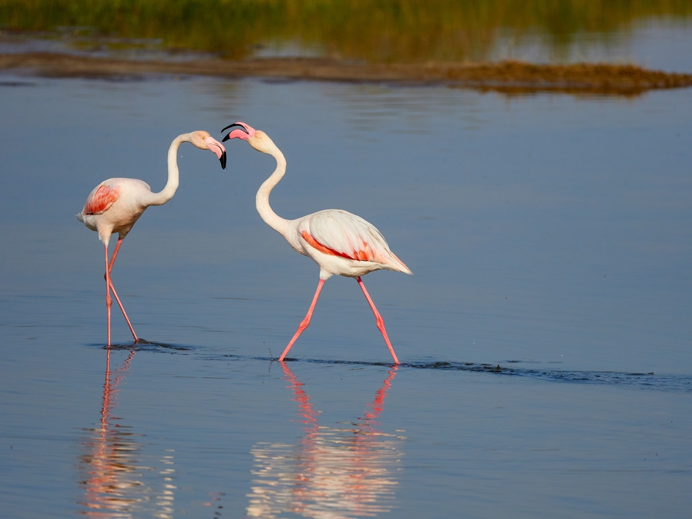 λέσβος-ένα-νησί-που-συνεχώς-το-ανακαλύ-562422724