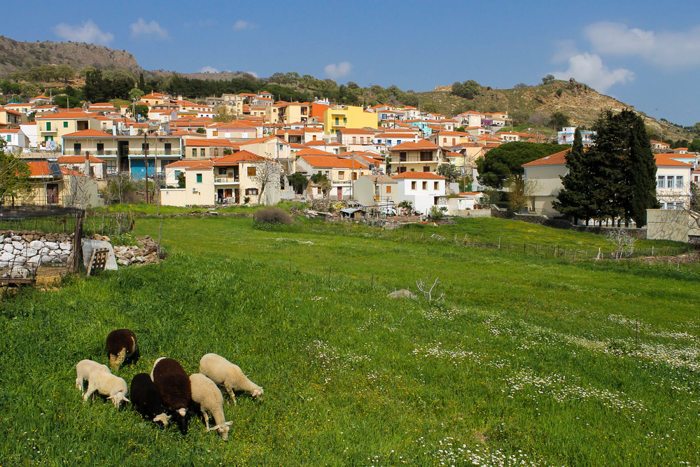 Λέσβος, ένα νησί που συνεχώς το ανακαλύπτεις-7