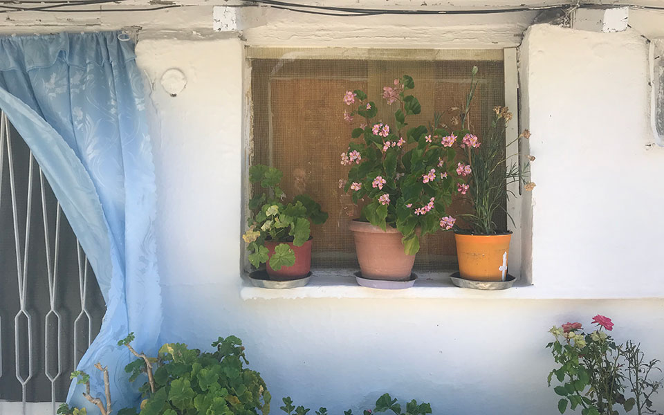 O προσφυγικός οικισμός των Μικρασιατών της Θήβας-3