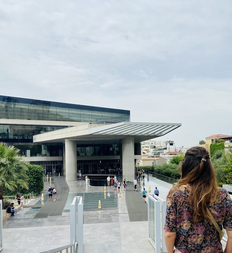 «Ψηφίζουν» Ακρόπολη – Πώς βλέπουν οι τουρίστες τις εκλογές στην Ελλάδα-1