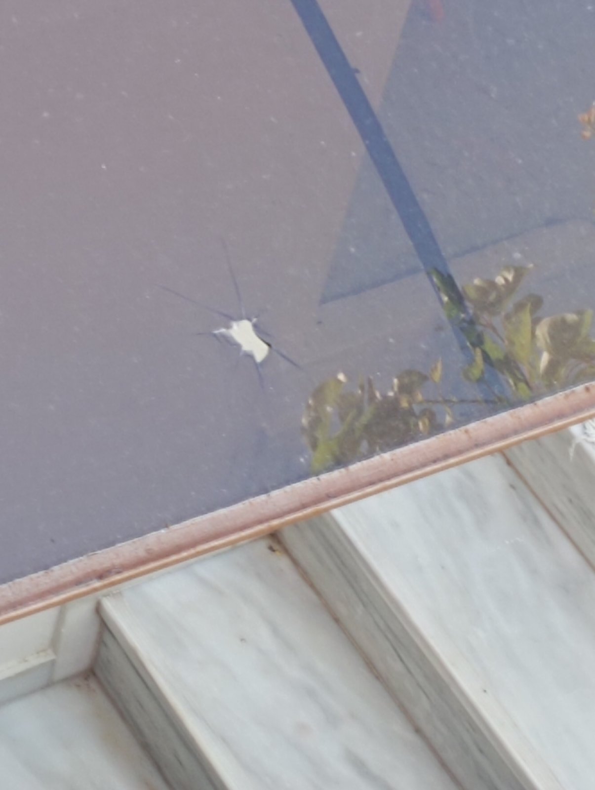 Ζωή εν μέσω διασταυρούμενων πυρών-2