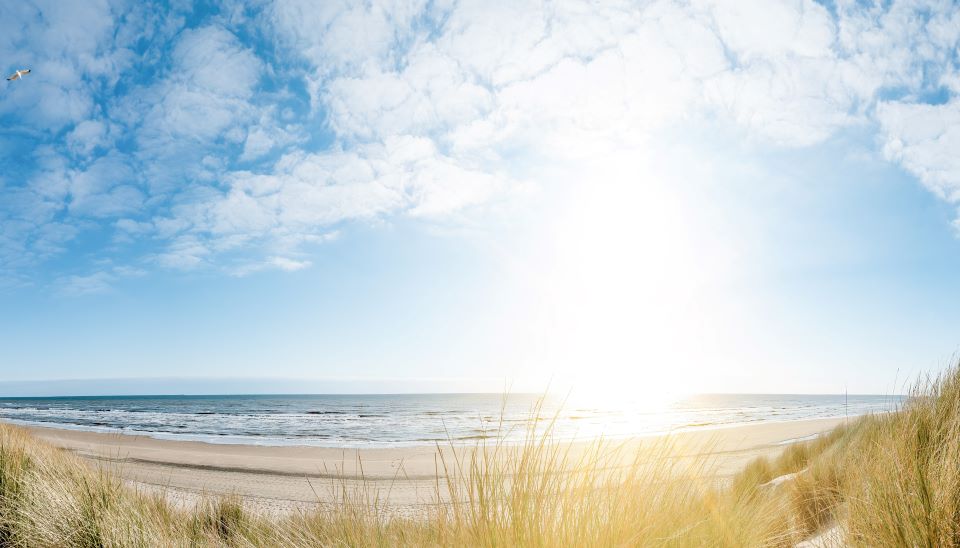 ολλανδική-πόλη-προειδοποιεί-τους-γυμ-562464925