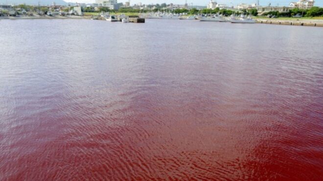 ερυθρά-θάλασσα-στην-ιαπωνία-διαρροή-562494154