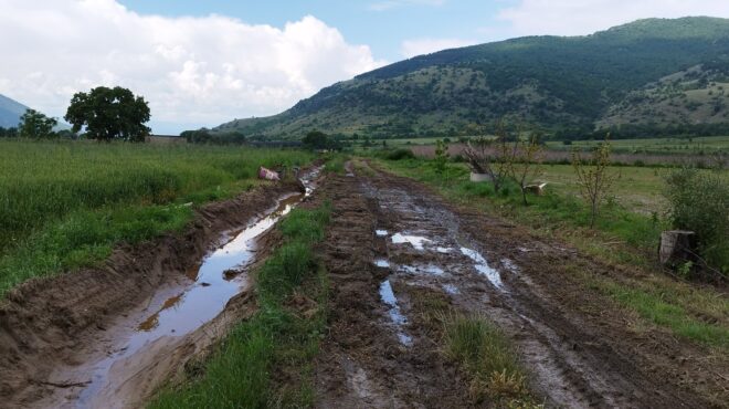 δυτική-μακεδονία-μαζικά-αιτήματα-δήμ-562477177