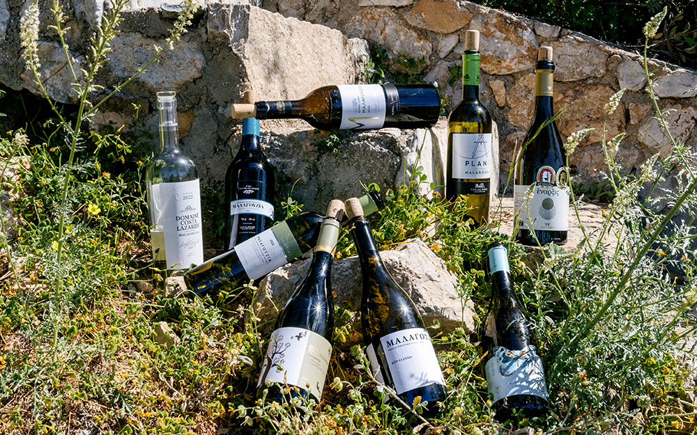 μαλαγουζιά-η-σταχτοπούτα-του-ελληνι-562450960