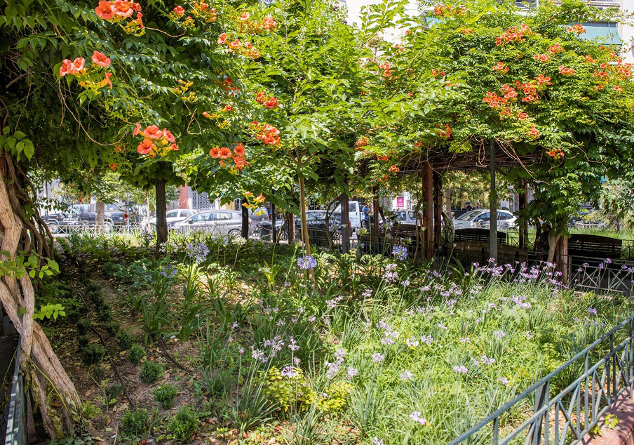 H P&G ολοκληρώνει 20 πάρκα τσέπης-2