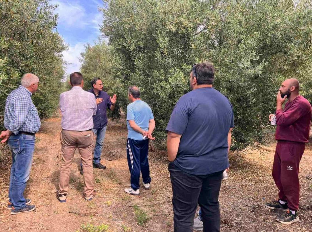 χαλκιδική-η-χειρότερη-χρονιά-όλων-των-562460278