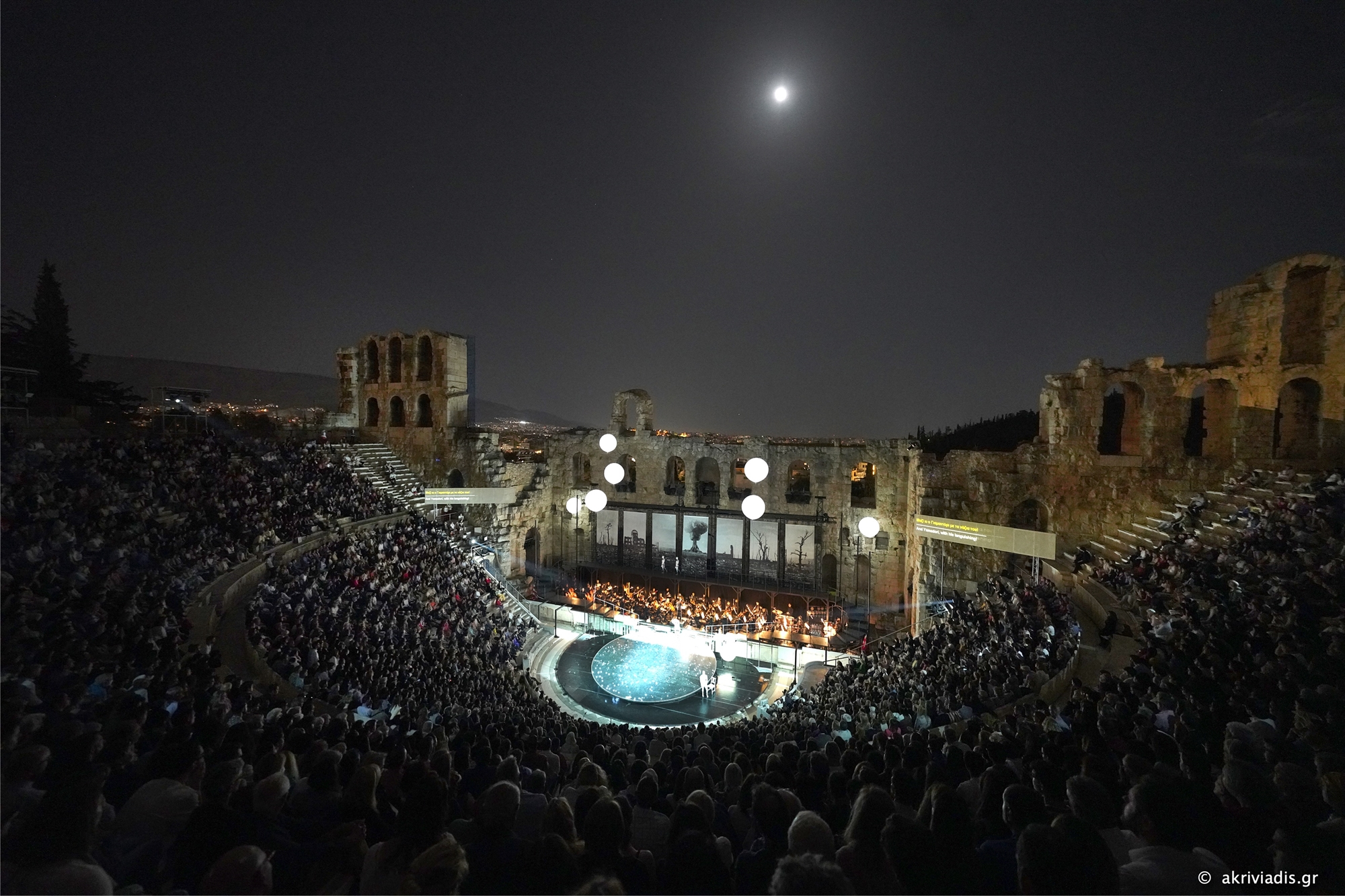 μια-επαναστατική-μπατερφλάι-562464058