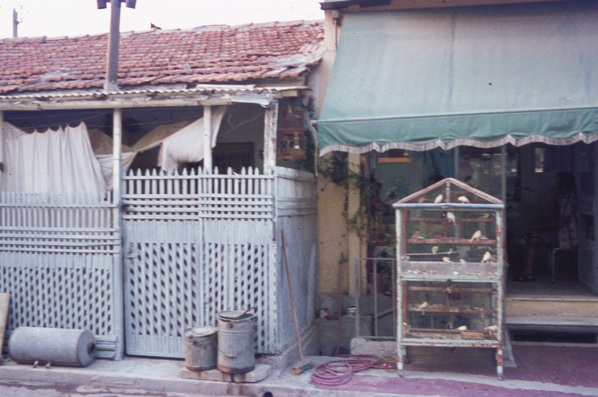 Η άγνωστη παραγκούπολη των Ιλισίων-3