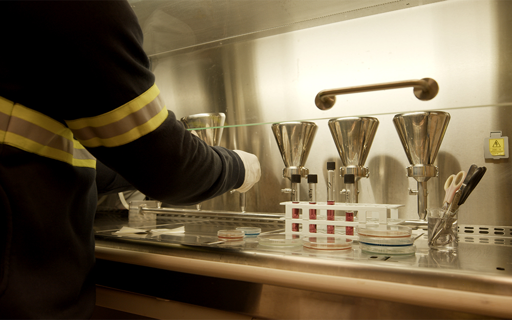 Βασικό συστατικό της Ολυμπιακής Ζυθοποιίας η βιωσιμότητα-1