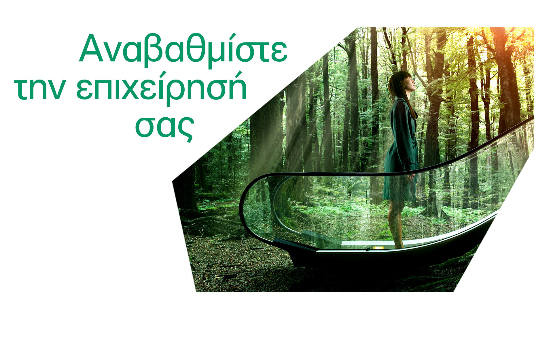 η-alpha-bank-βρίσκεται-δίπλα-στην-ελληνική-επι-562454011