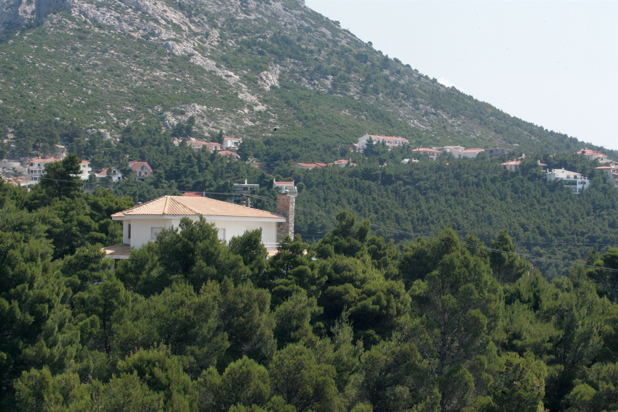 το-ψάρι-βρωμάει-από-το-κεφάλι-στα-αυθ-562460851