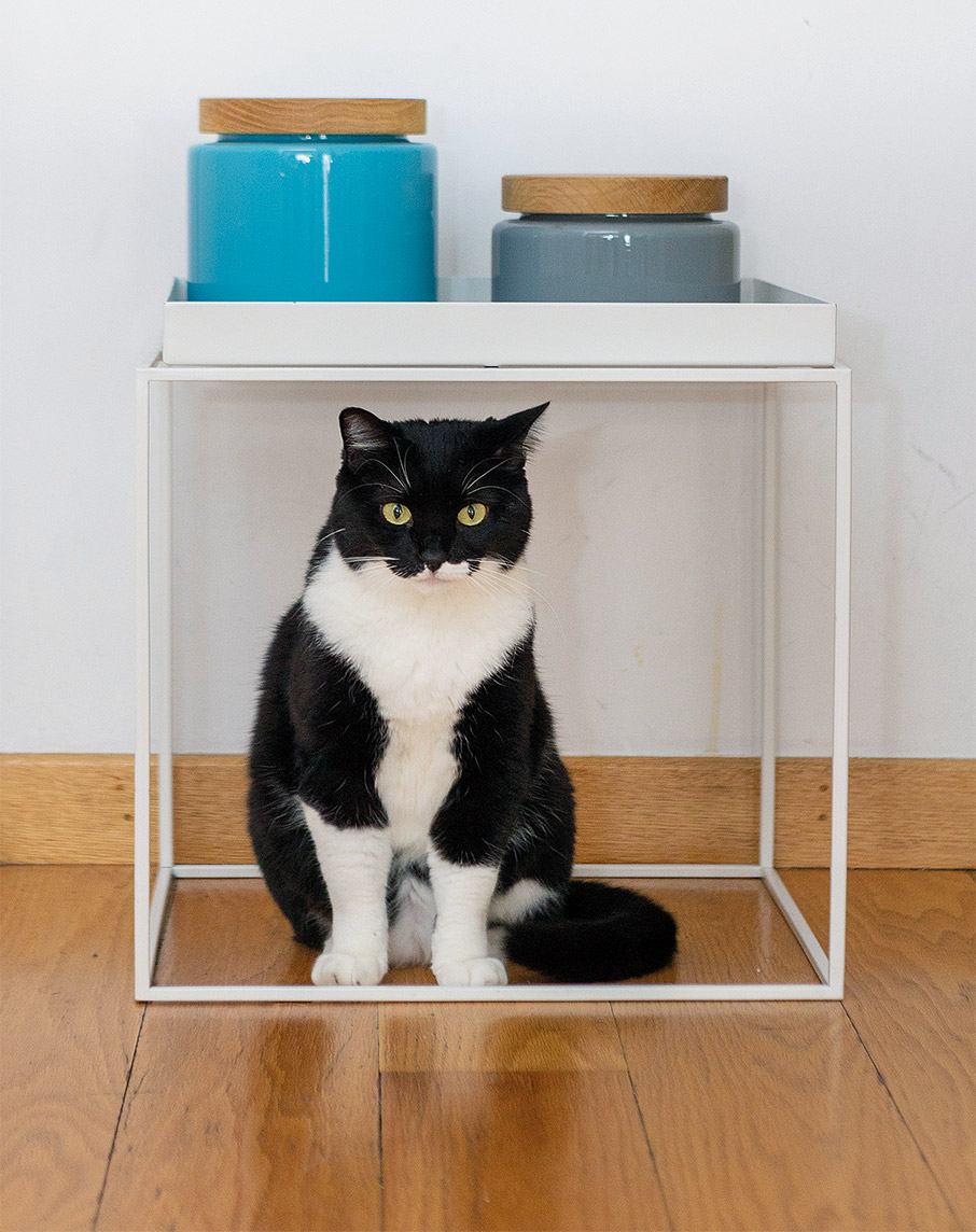 My Space: Μίνιμαλ θαλπωρή σε ένα φωτεινό διαμέρισμα στο Παγκράτι-3