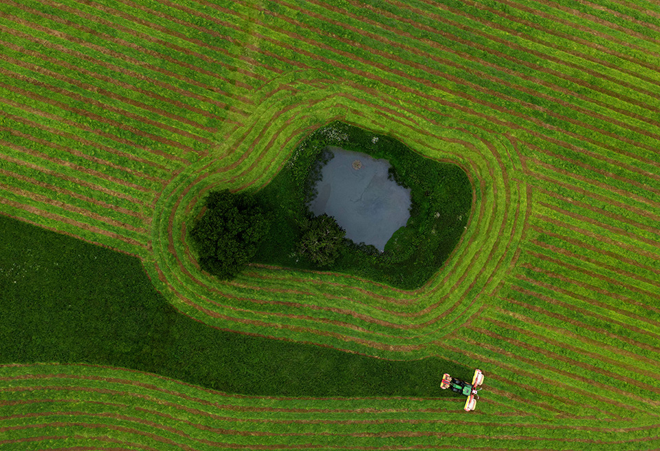 Για ποια γιορτή;-2