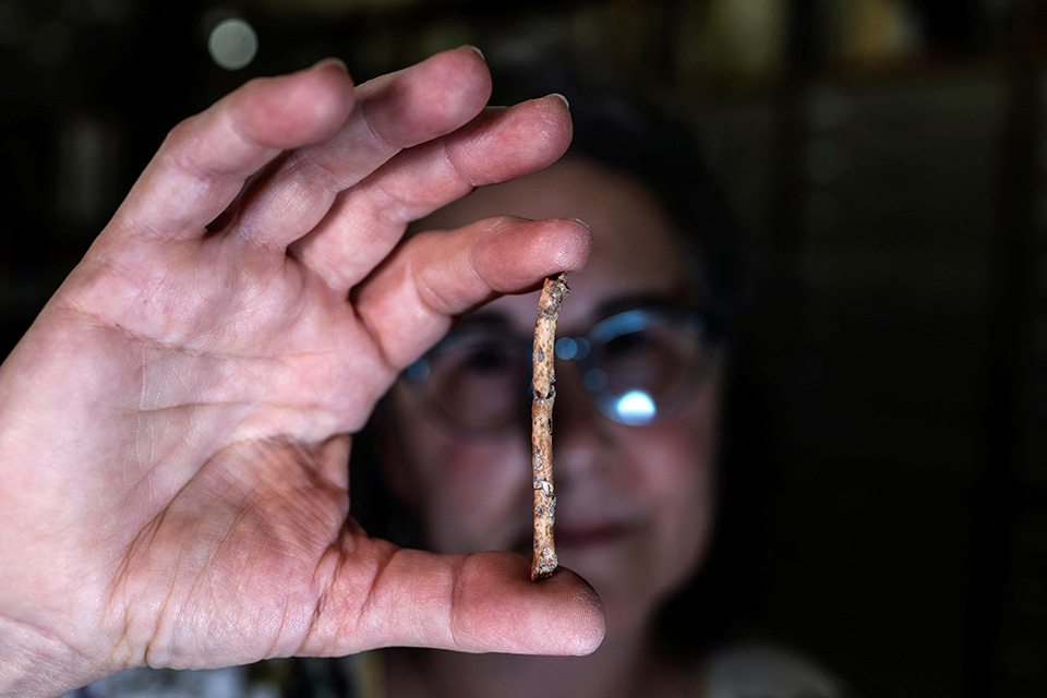 Η πρωταθλήτρια-3