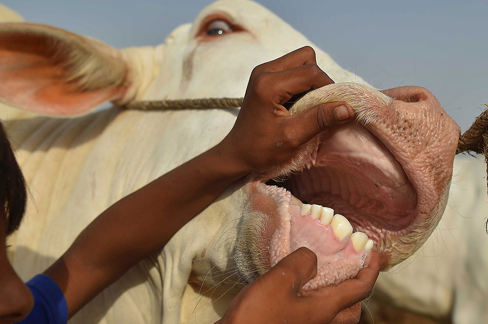 Εποχή των βροχών-1