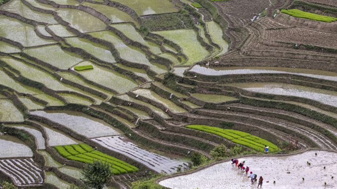 η-εποχή-των-μουσώνων-562486333