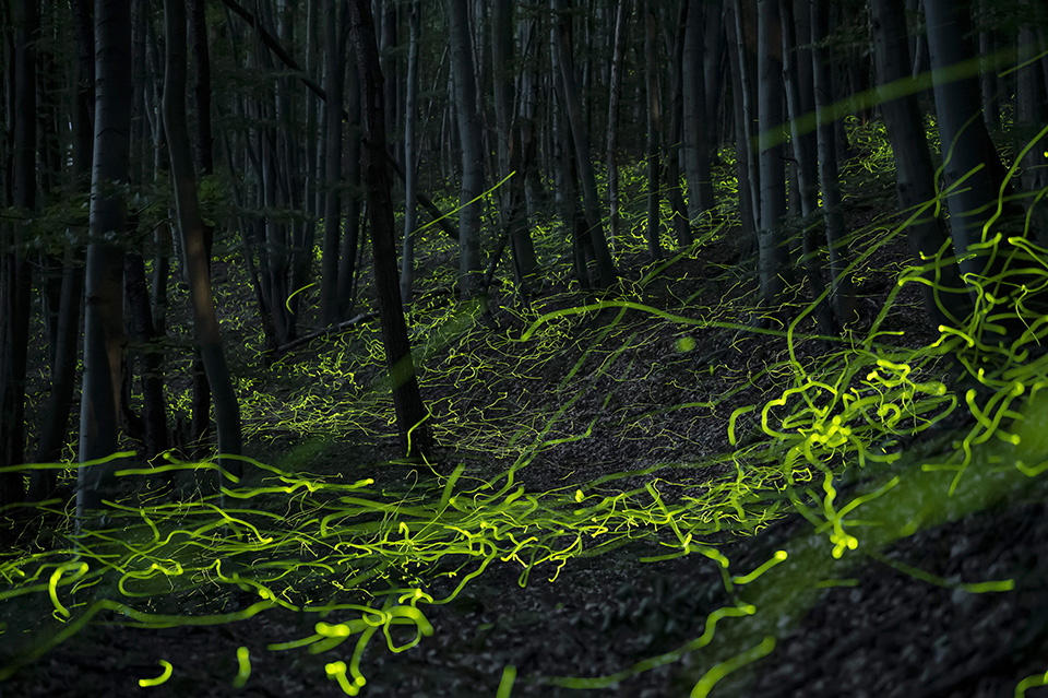 Κατασκευές για πιστούς-1