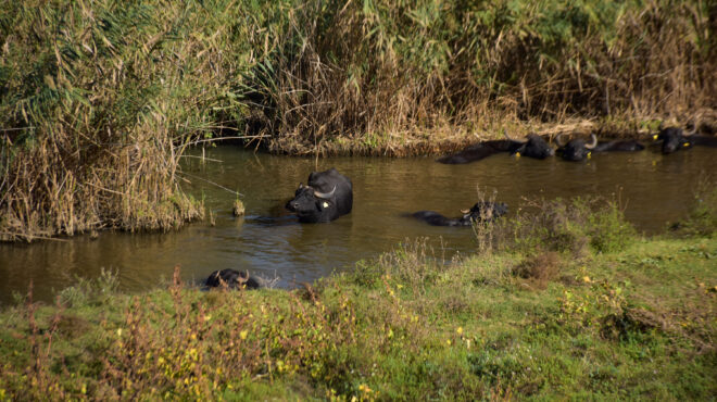 ενισχύονται-οι-φύλακες-για-τις-περι-562482418