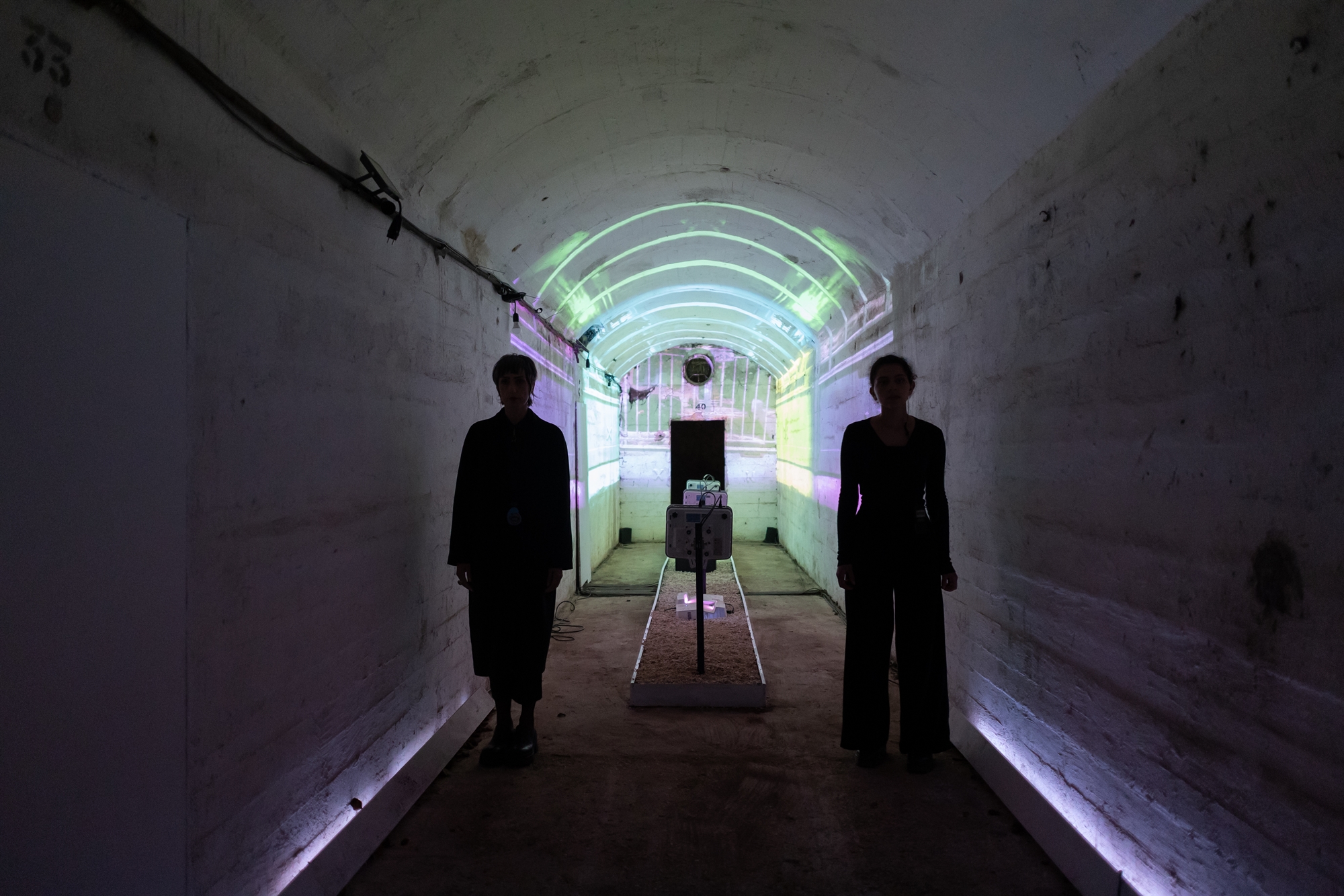 Πλάσματα στην όχθη της Παμβώτιδας-1