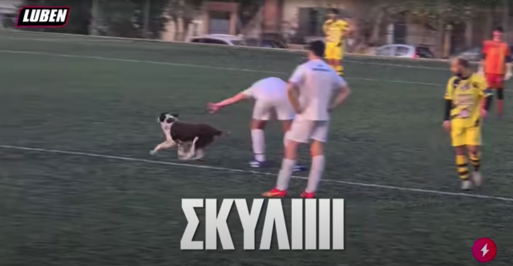 Luben.tv, αυτοί είστε!-3