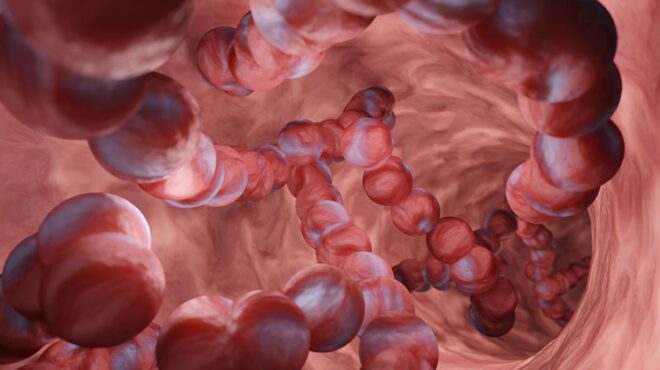 στρεπτόκοκκος-πώς-γίνεται-η-διάγνωση-562477660