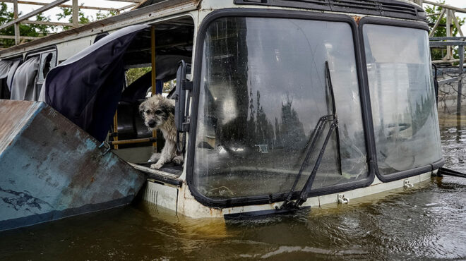 ουκρανία-σε-17-ανήλθε-ο-αριθμός-των-νεκρ-562468291