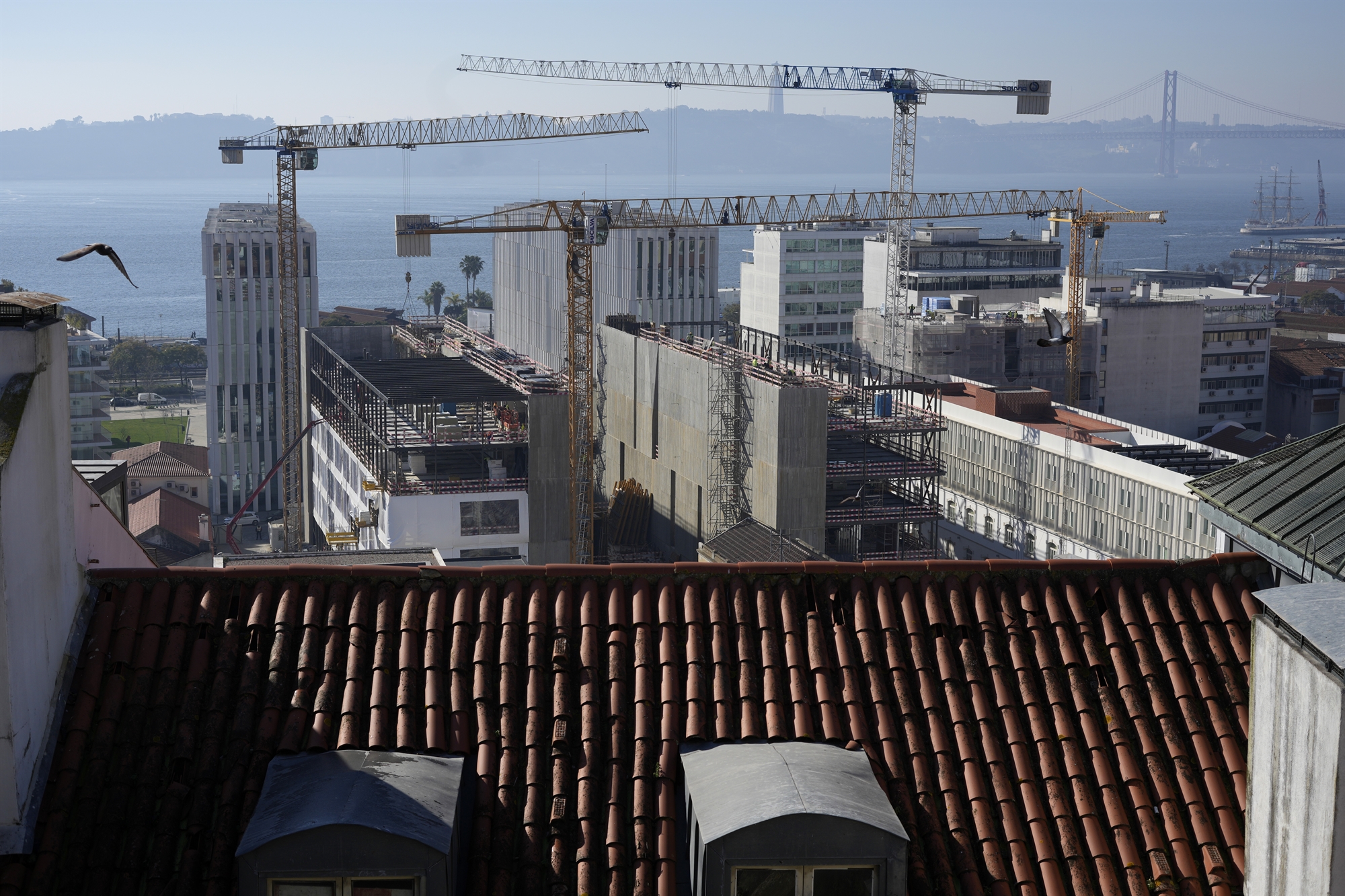 δντ-για-ελλάδα-δεν-είναι-φούσκα-η-αγο-562452280