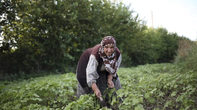 τουρκία-βγήκαν-όπλα-για-ένα-χωράφι-562472671