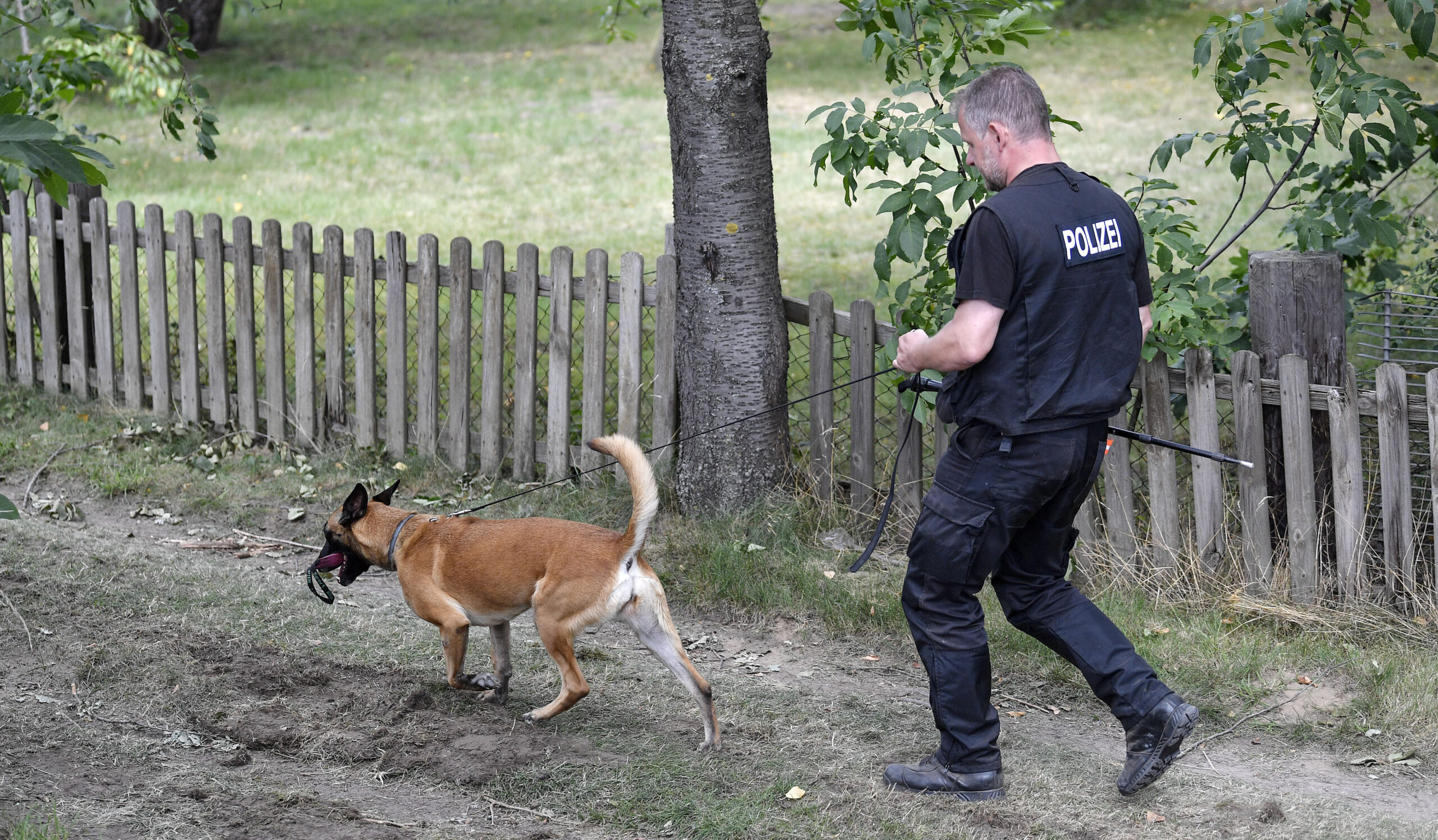 μαντλίν-μακκάν-αξιολογούνται-αντικε-562451200