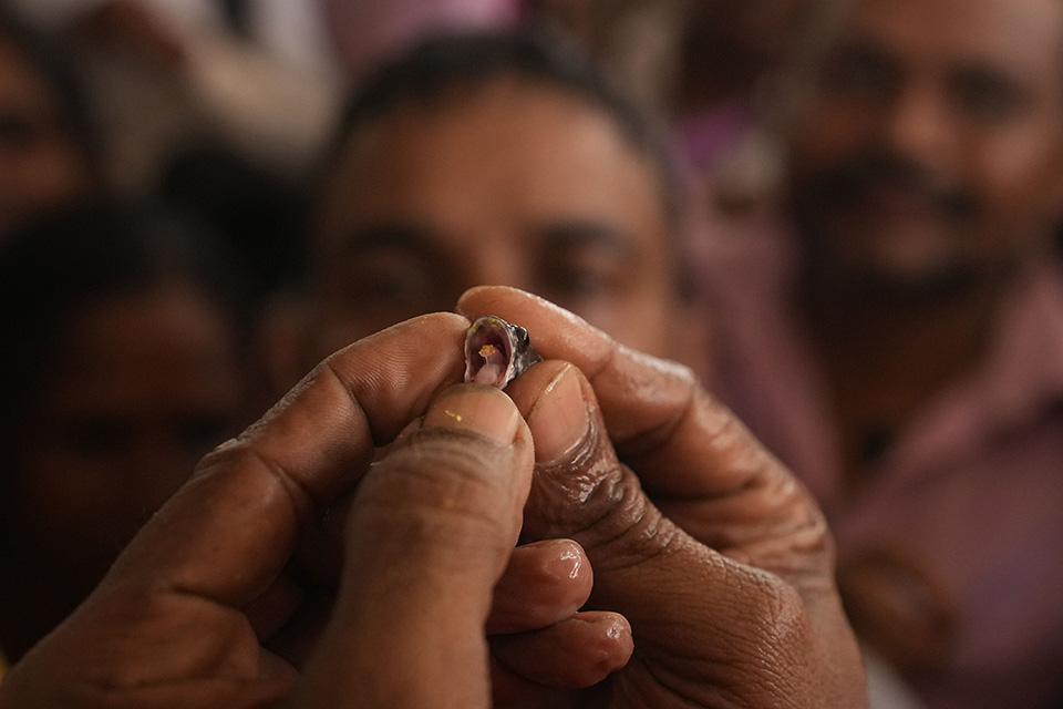 Ηταν ένα, έγιναν δύο-1