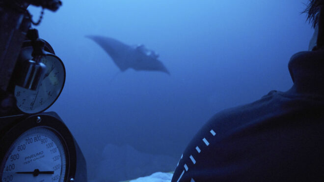 η-κολύμβηση-είναι-δεξιότητα-όχι-άσκησ-562478935