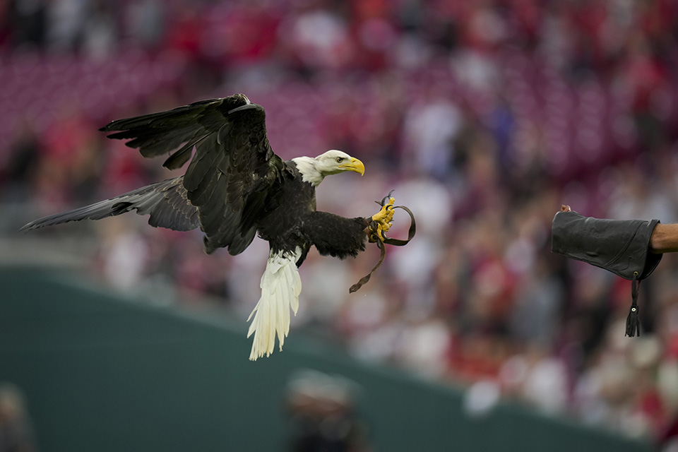 Στο θεωρείο του Ασκοτ-3