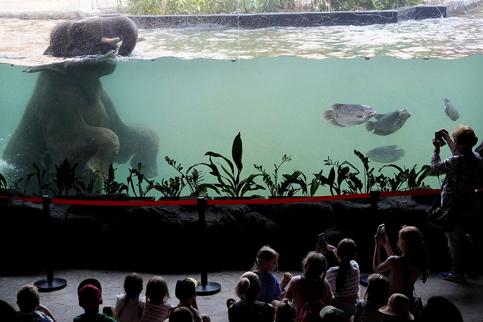 Εγώ, εσύ και τα μπαλόνια-2