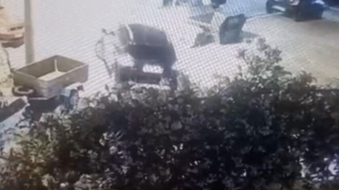 κορυδαλλός-βίντεο-ντοκουμέντο-με-το-α-562467007