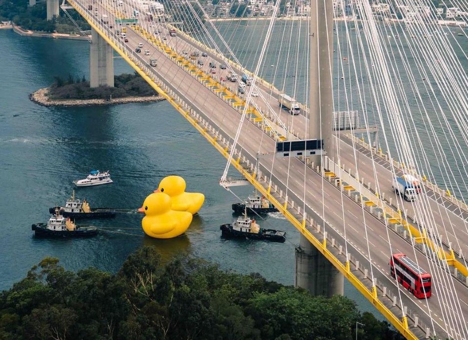 το-πελώριο-παπάκι-επιστρέφει-στο-χονγ-562457782